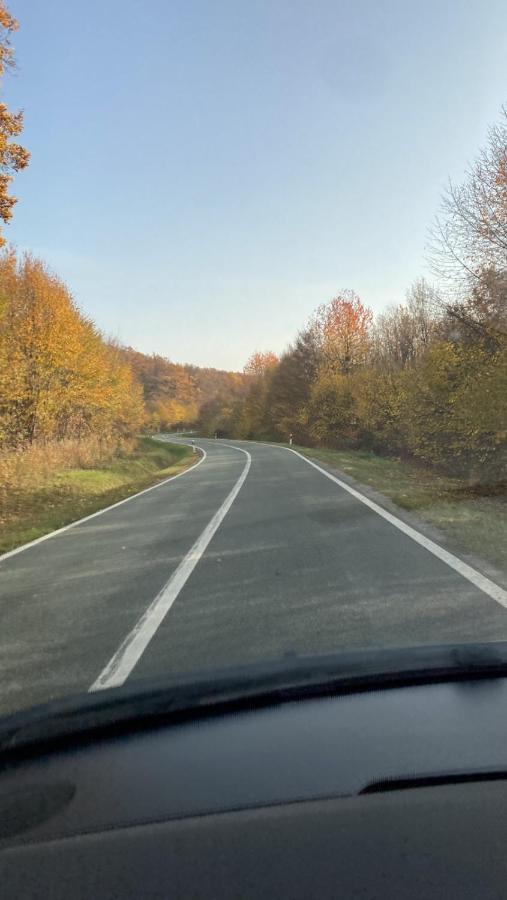 Villa Papuk Vocin Dış mekan fotoğraf